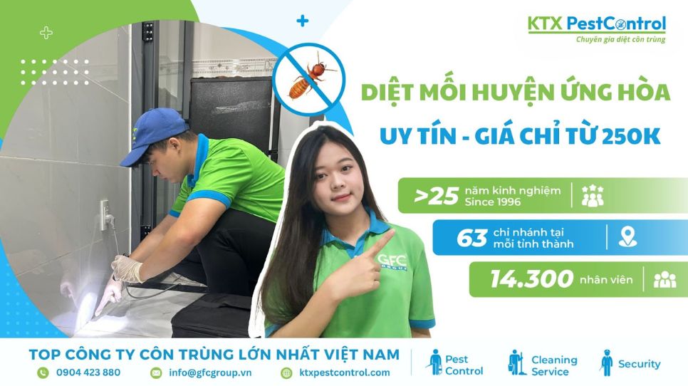 diệt mối huyện Ứng Hoà xử lý tận gốc