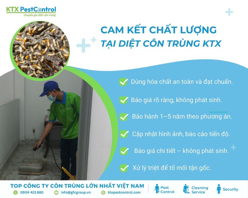 KTX cam kết diệt mối quận Liên Chiểu an toàn